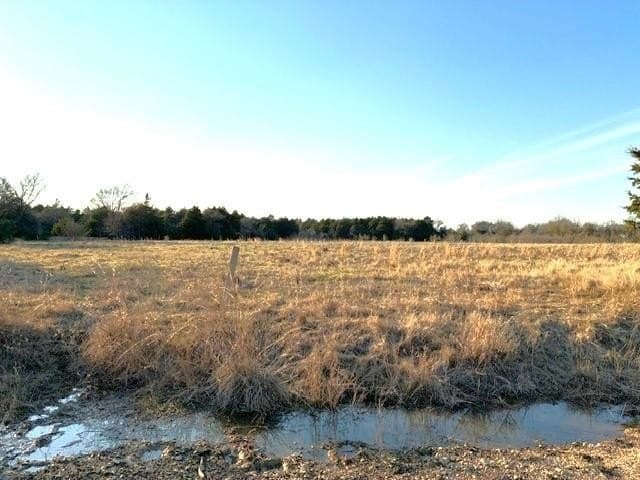 53.21 acres in Freestone County - photo 4