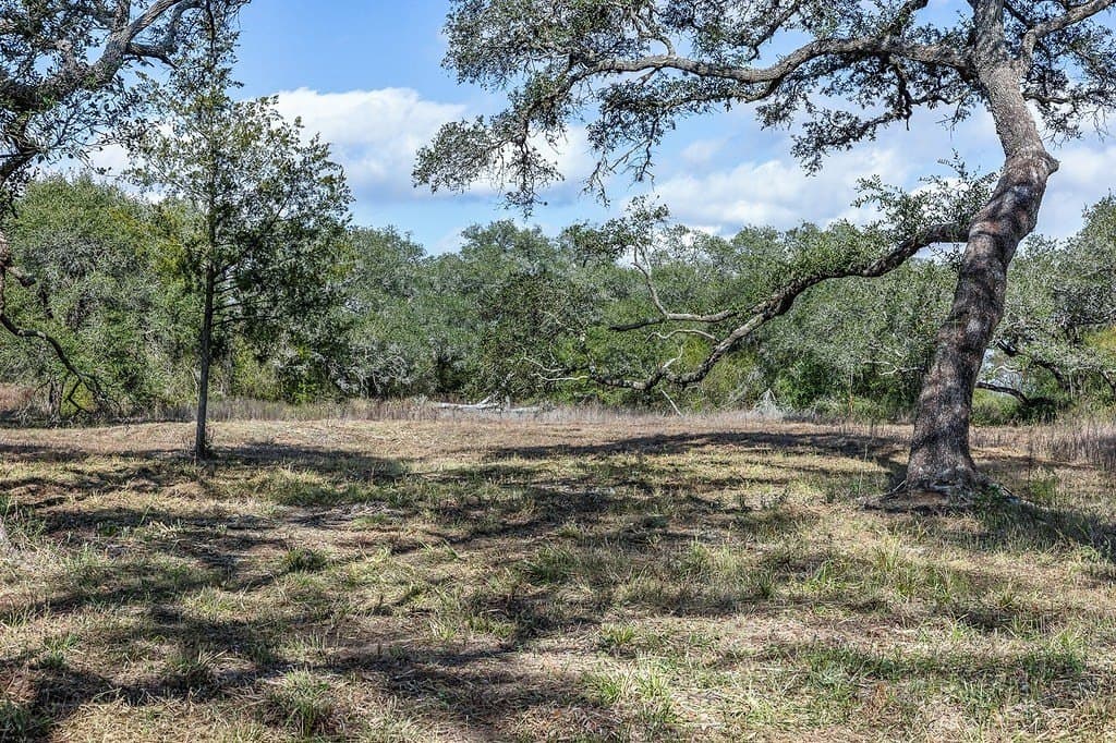 2.01 acres in Colorado County - photo 17