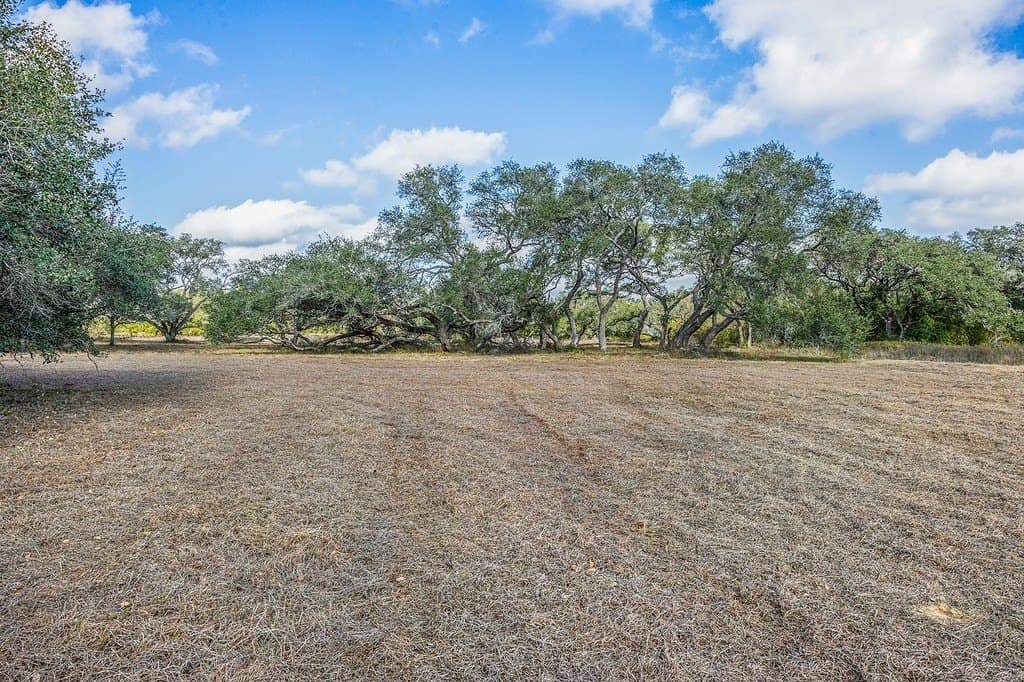 2.01 acres in Colorado County - photo 18