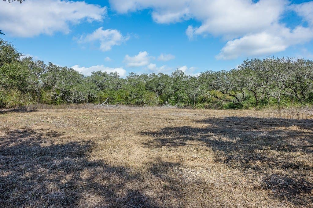 2.01 acres in Colorado County - photo 16