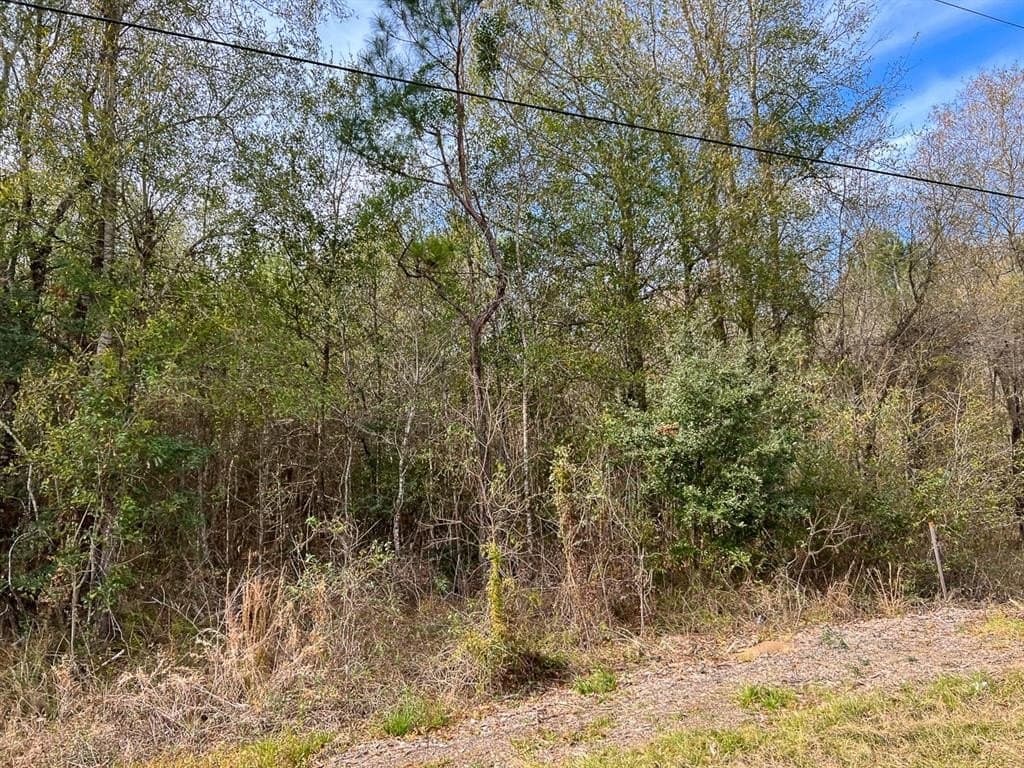 56 acres in Orange County - photo 7