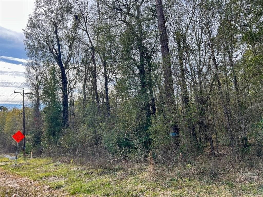 56 acres in Orange County - photo 4