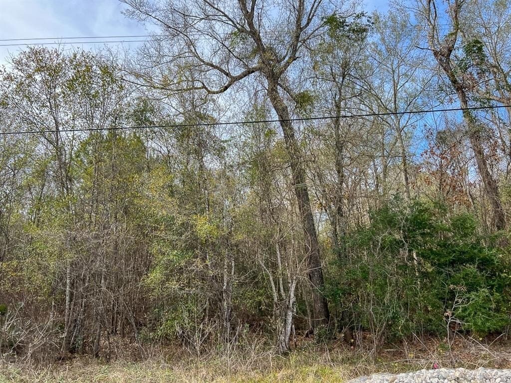 56 acres in Orange County - photo 6