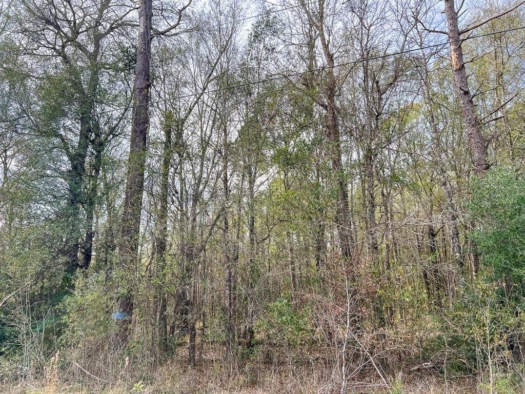 56 acres in Orange County - photo 5