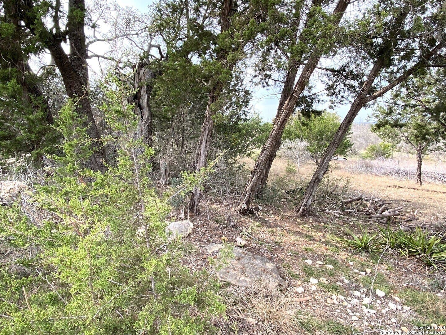 2.47 acres in Bandera County - photo 4