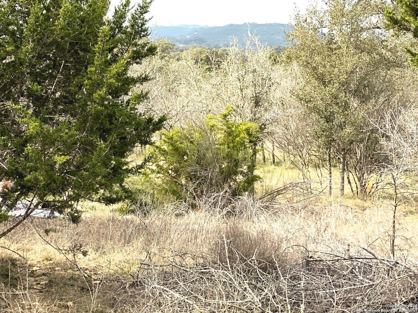 LAKESHORE lot: 28-29