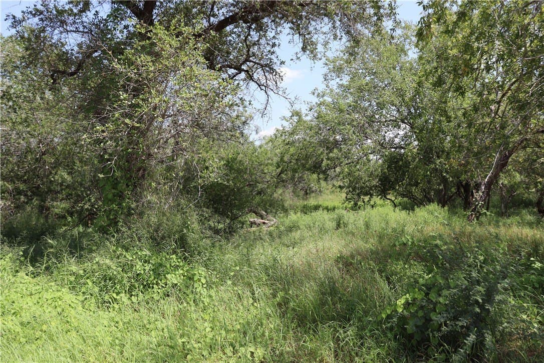 10.5 acres in San Patricio County - photo 11