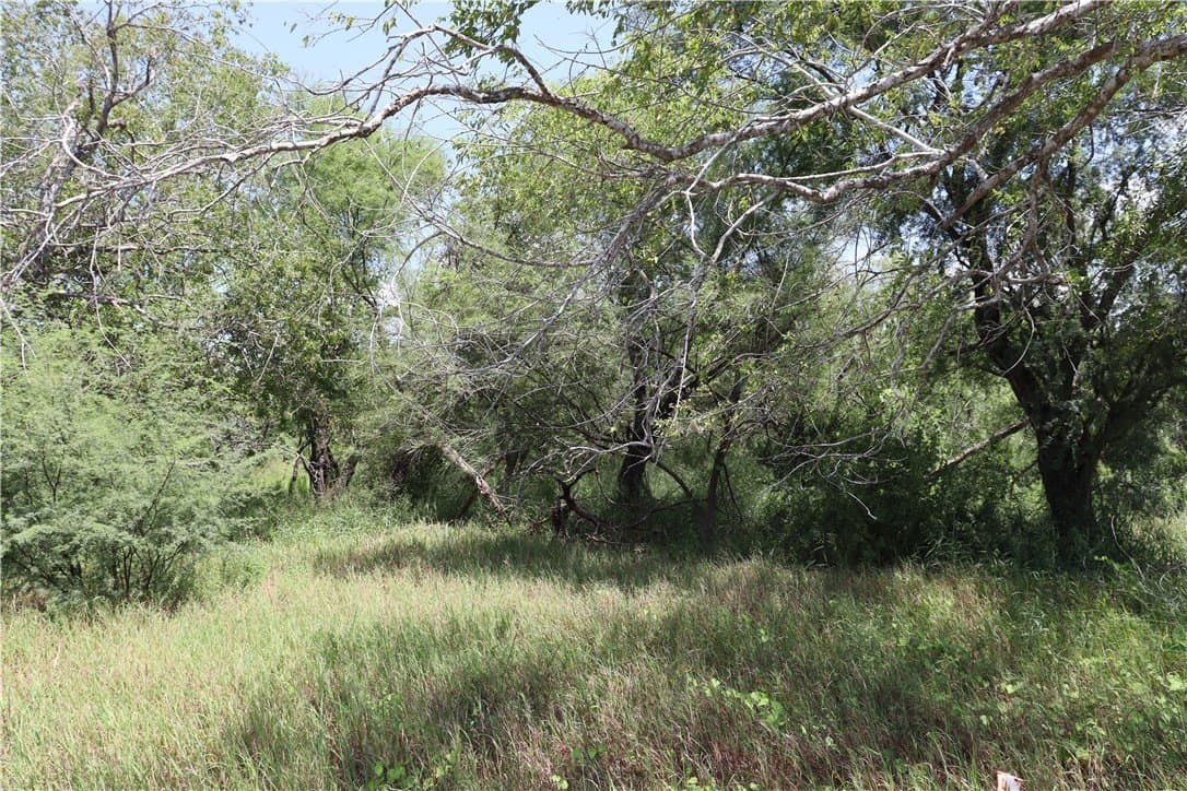 10.5 acres in San Patricio County - photo 10