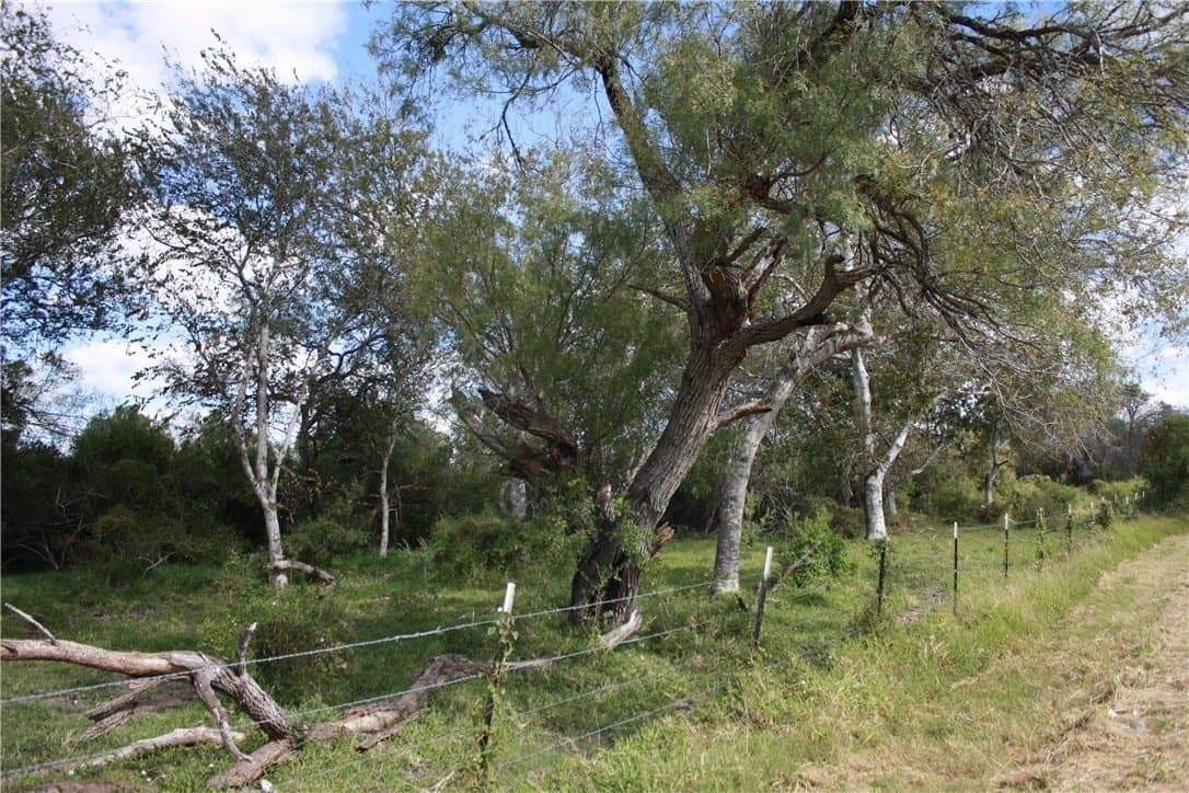 10.5 acres in San Patricio County - photo 17