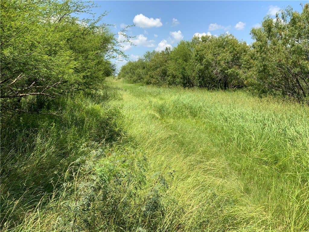 10.5 acres in San Patricio County - photo 5