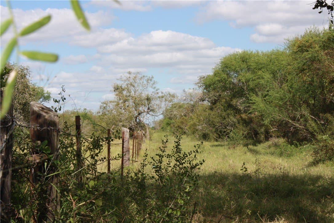 10.5 acres in San Patricio County - photo 12