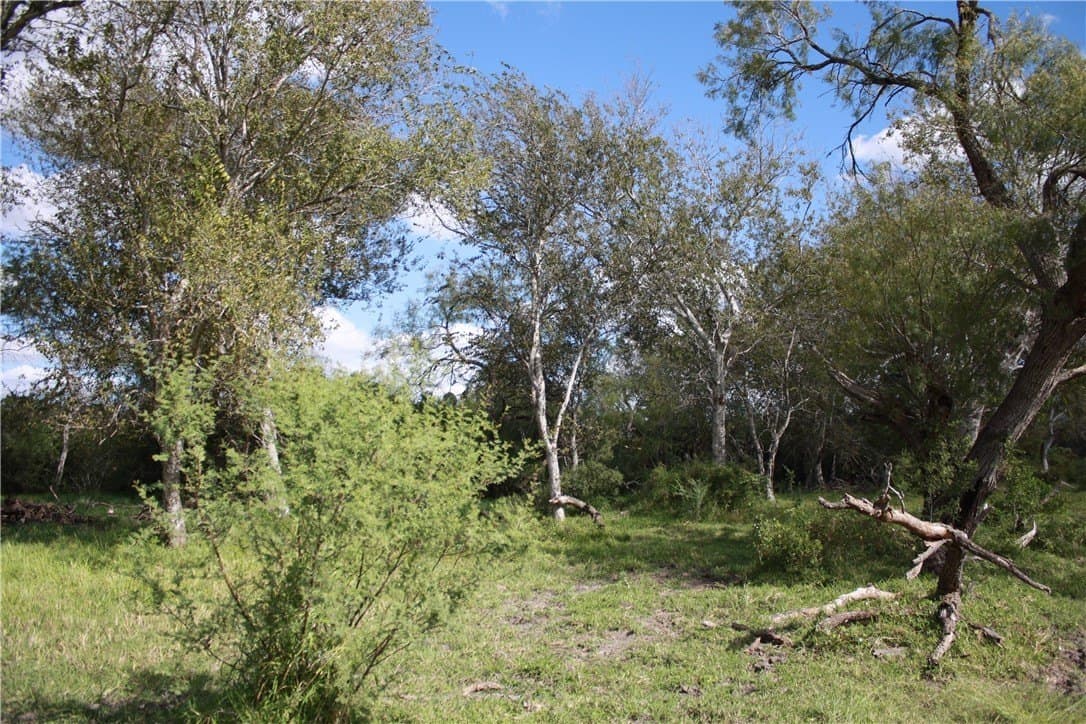 10.5 acres in San Patricio County - photo 15