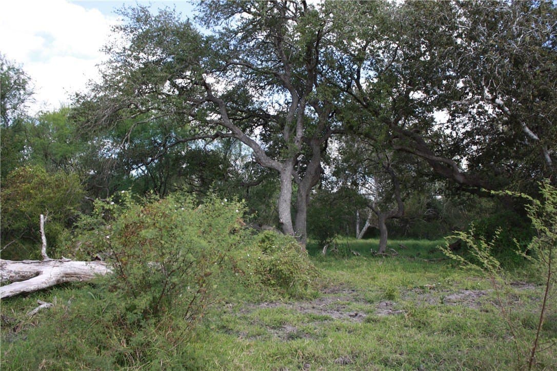 10.5 acres in San Patricio County - photo 13