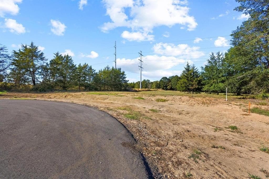 3.5 acres in Fannin County - photo 7