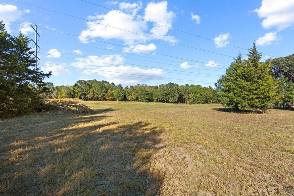 3.5 acres in Fannin County - photo 9