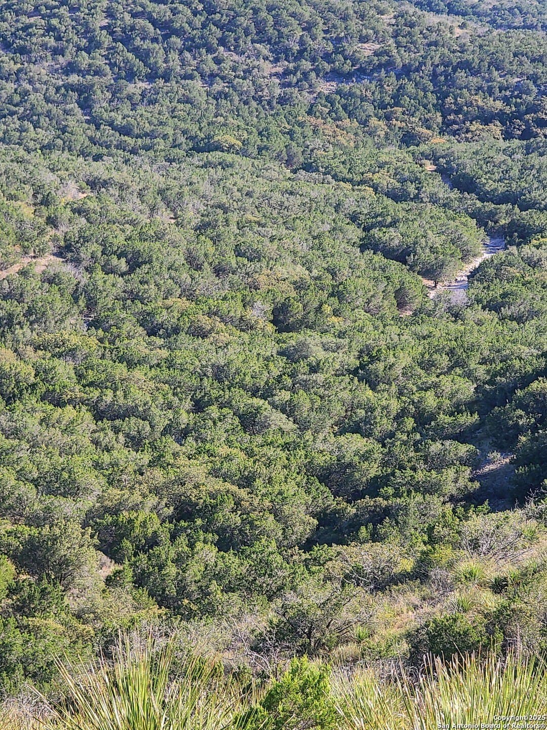 14.01 acres in Uvalde County - photo 8