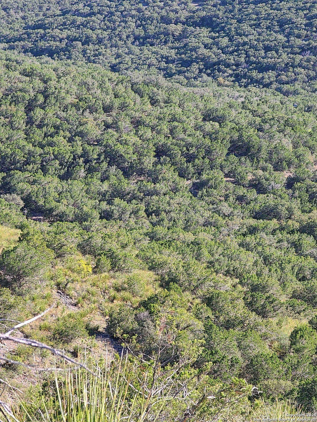 14.01 acres in Uvalde County - photo 9