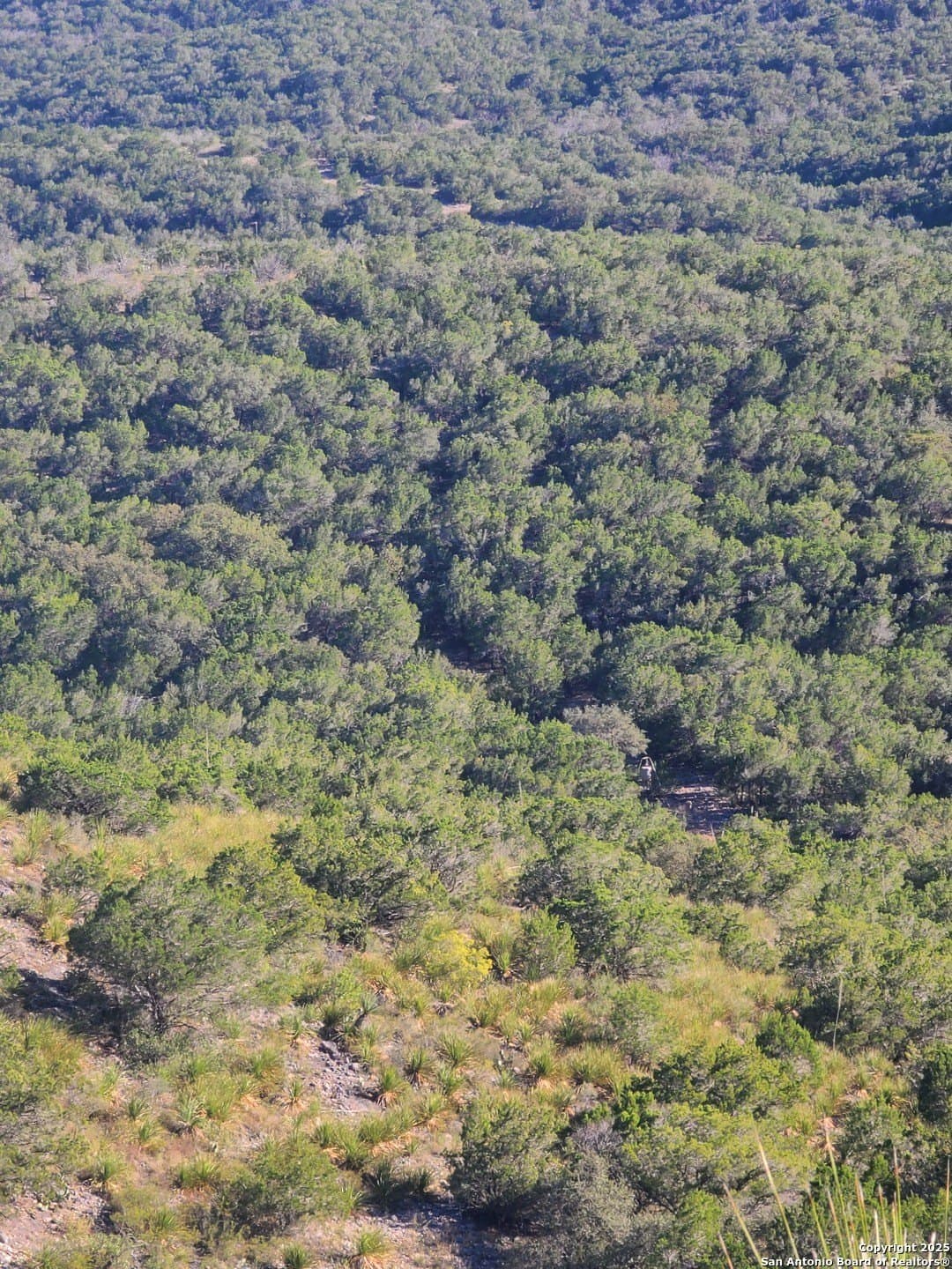 14.01 acres in Uvalde County - photo 14