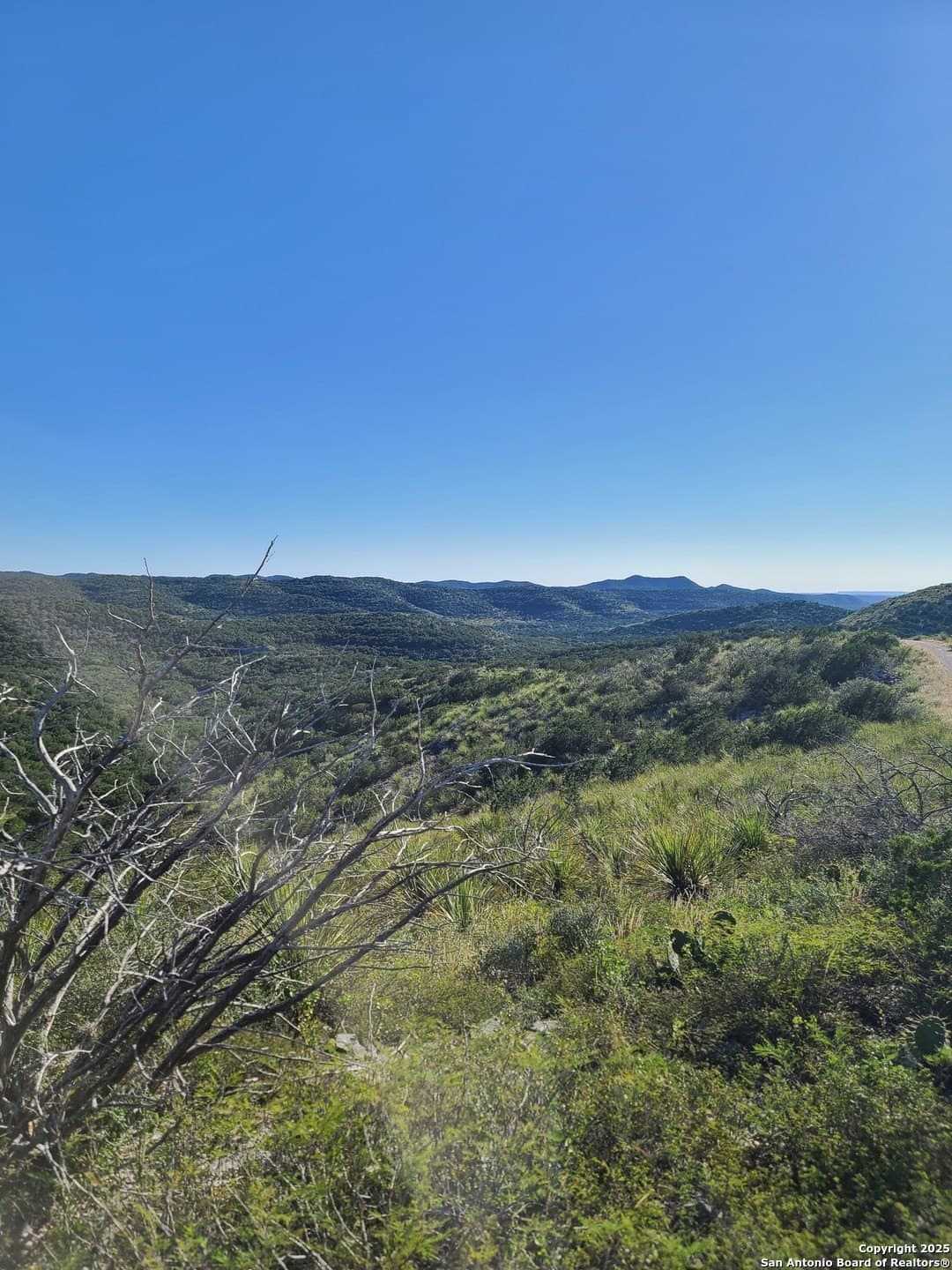 14.01 acres in Uvalde County - photo 3
