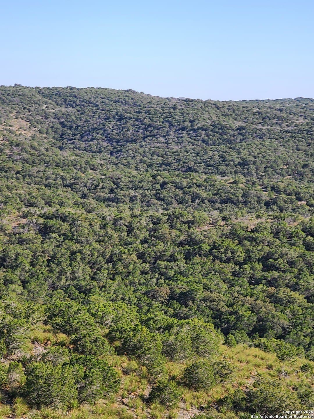 14.01 acres in Uvalde County - photo 11