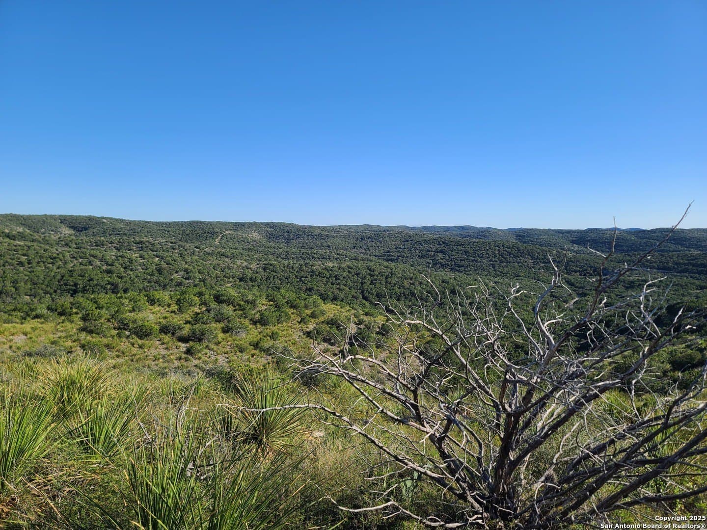 14.01 acres in Uvalde County - photo 5