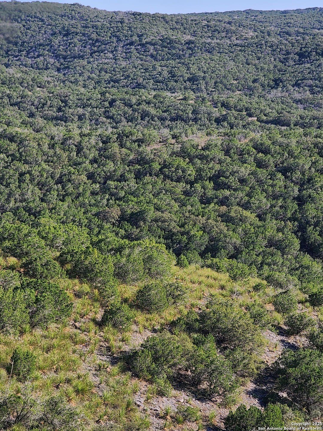 14.01 acres in Uvalde County - photo 10