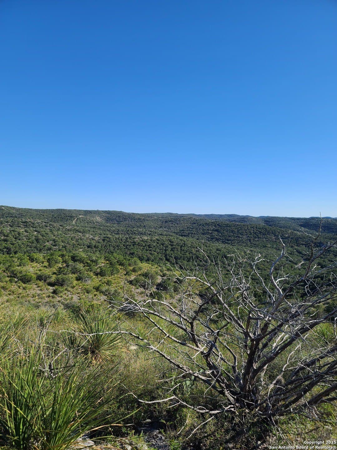14.01 acres in Uvalde County - photo 2