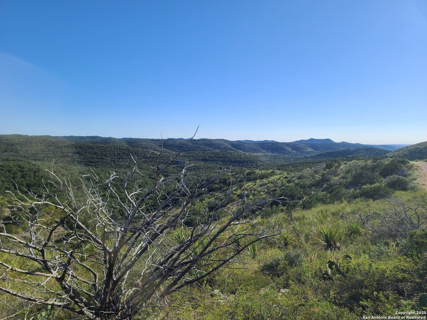 14.01 acres in Uvalde County - photo 6