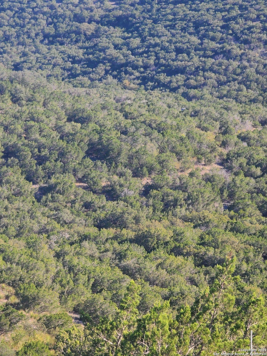 14.01 acres in Uvalde County - photo 13