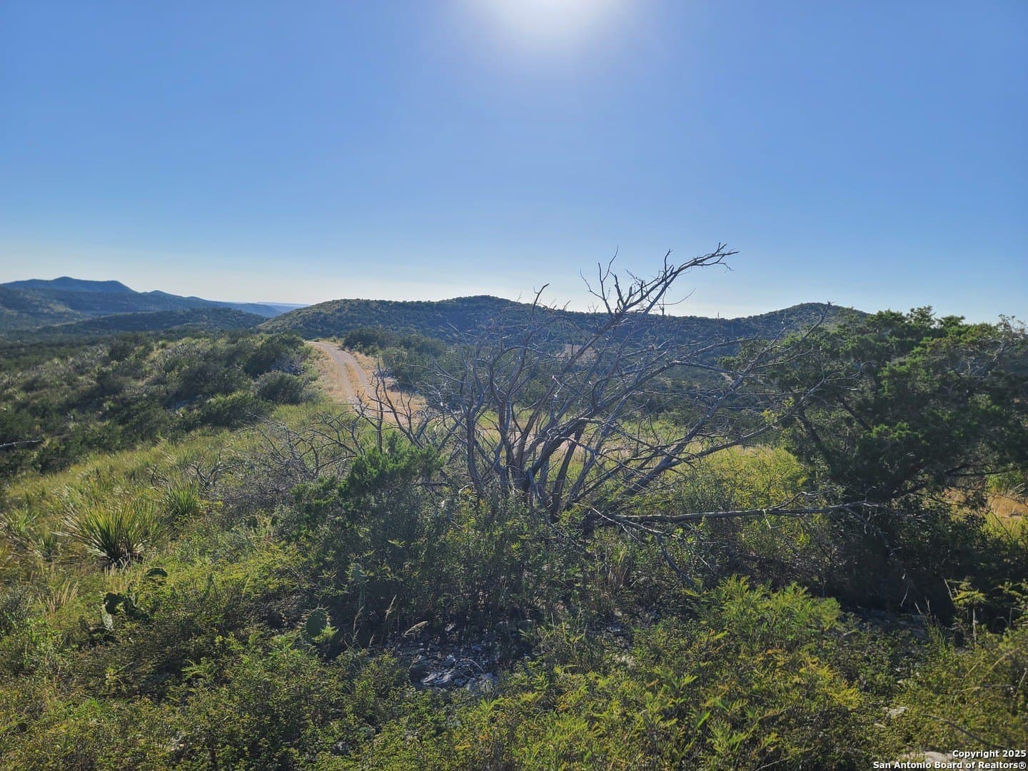14.01 acres in Uvalde County - photo 7