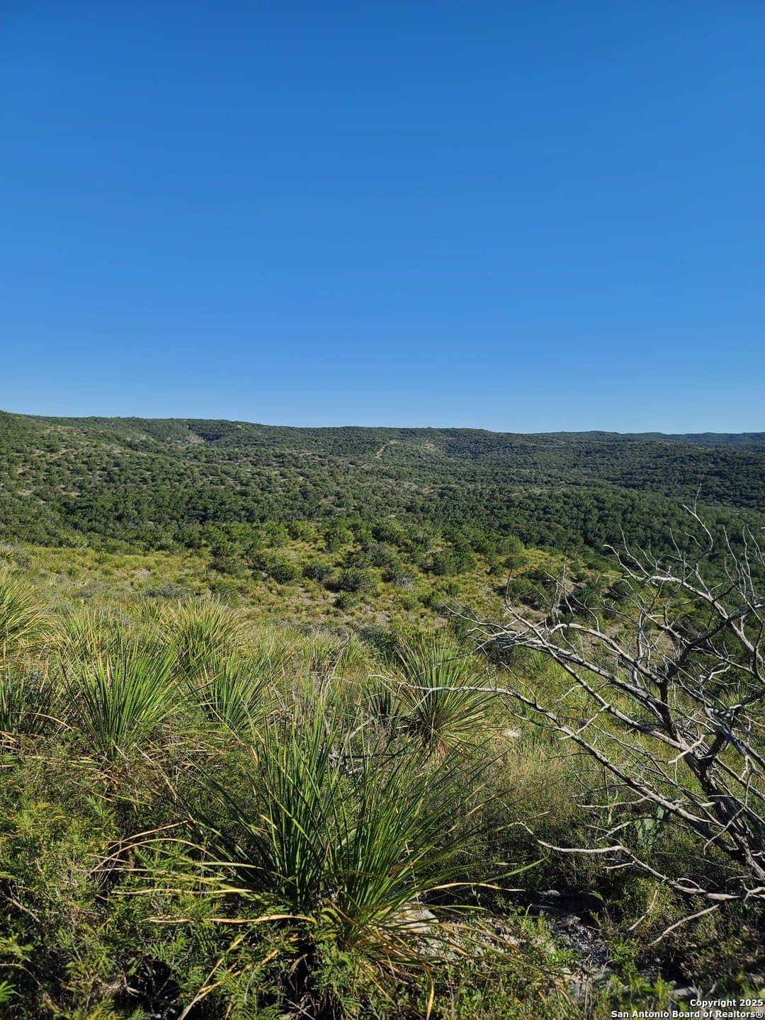14.01 acres in Uvalde County - photo 4