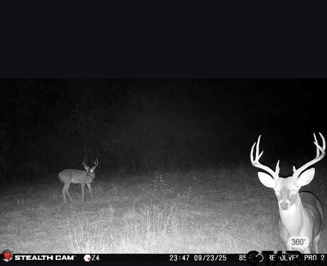 22 acres in Smith County - photo 2