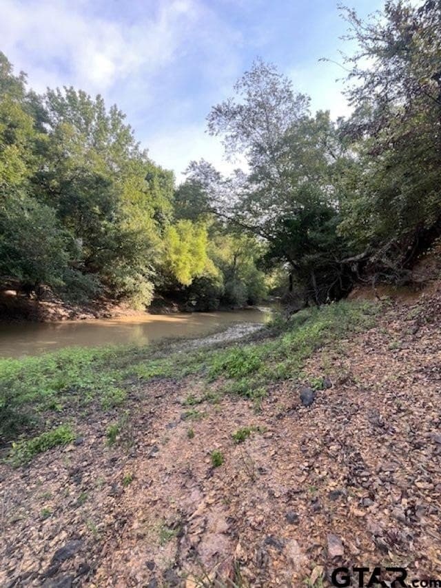 22 acres in Smith County - photo 12
