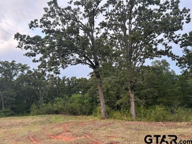 22 acres in Smith County - photo 10