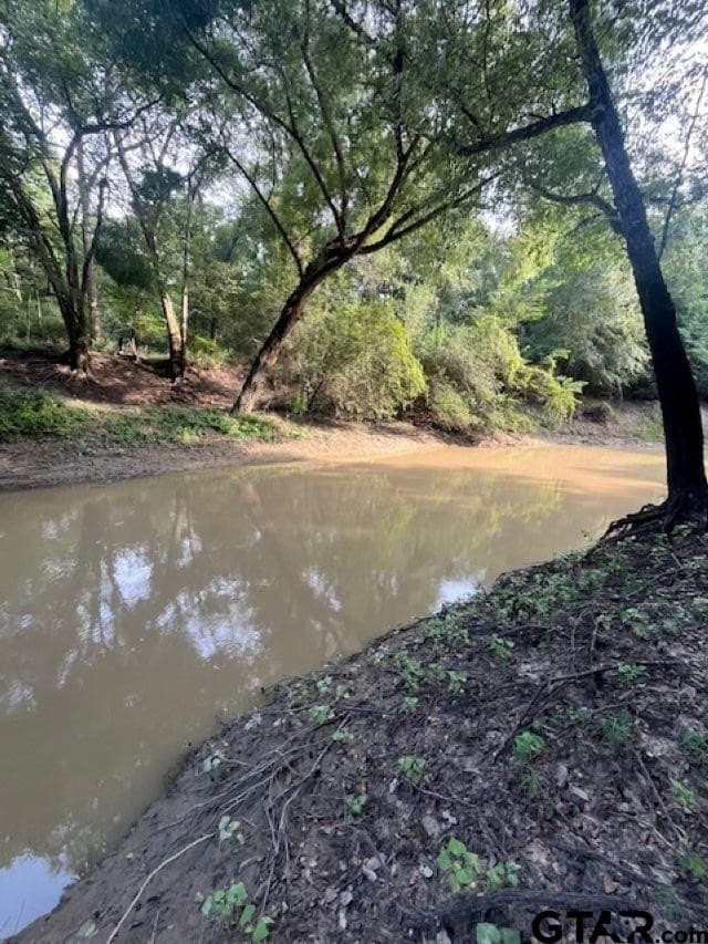 22 acres in Smith County - photo 13