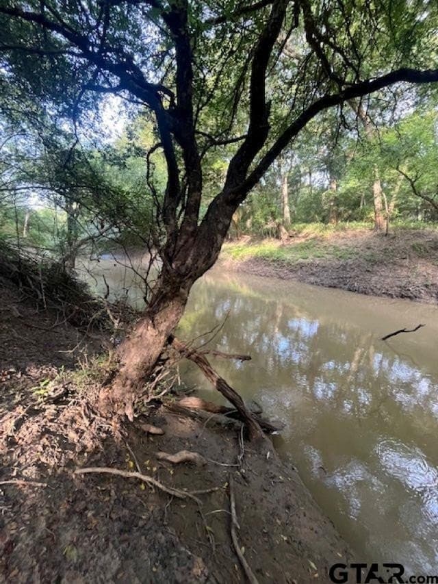 22 acres in Smith County - photo 3