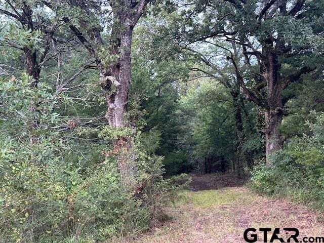 22 acres in Smith County - photo 4