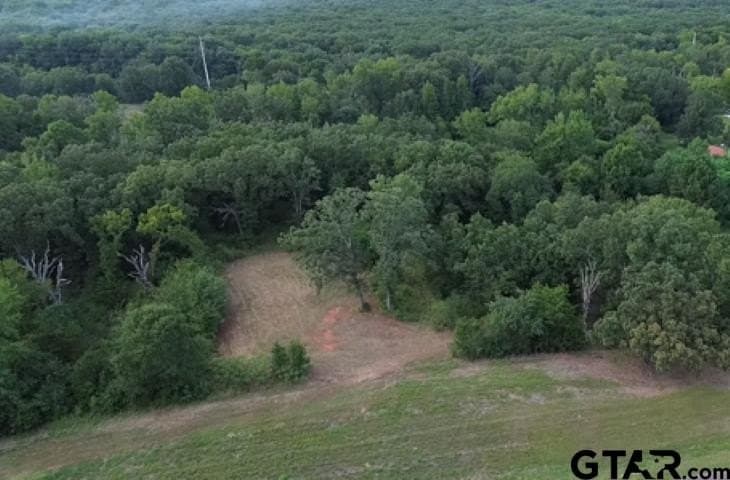 22 acres in Smith County - photo 7