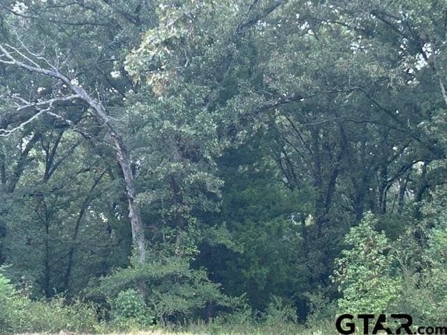 22 acres in Smith County - photo 9