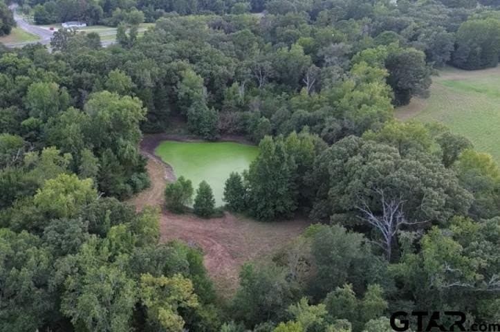 22 acres in Smith County - photo 6