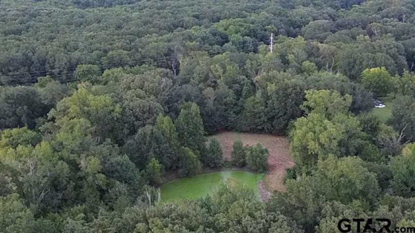 22 acres in Smith County - photo 8