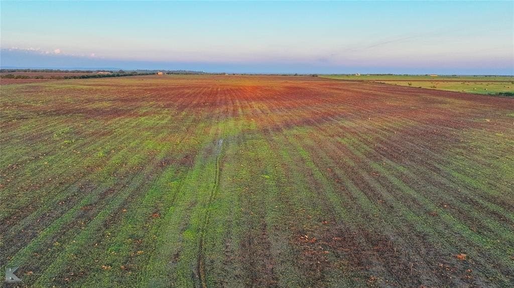 84.15 acres in Callahan County - photo 12
