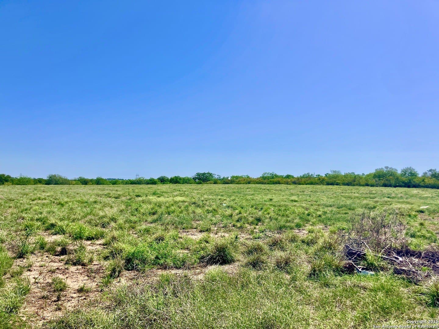 32.26 acres in Atascosa County - photo 18