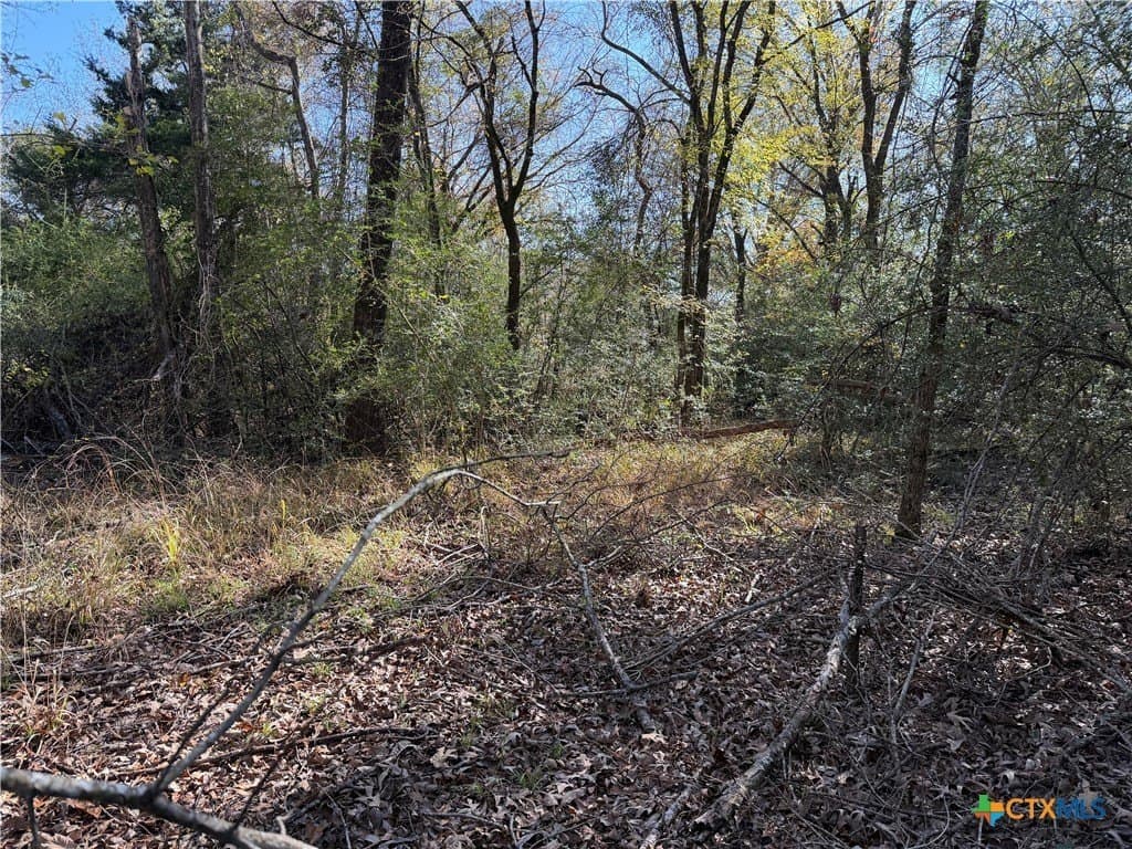 2.17 acres in Freestone County - photo 5