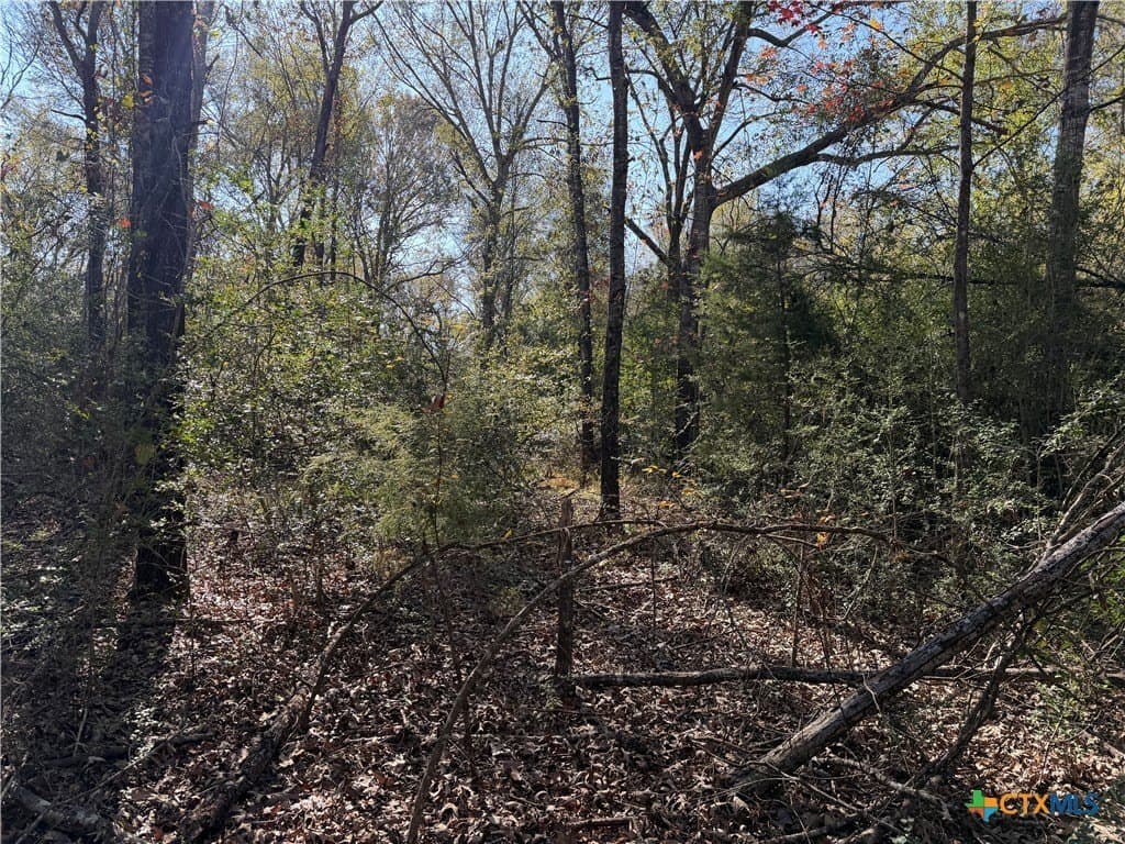2.17 acres in Freestone County - photo 2
