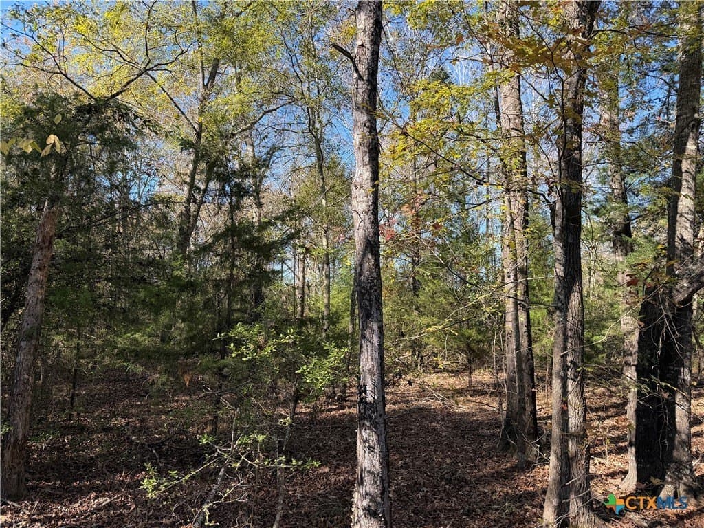 2.17 acres in Freestone County - photo 4
