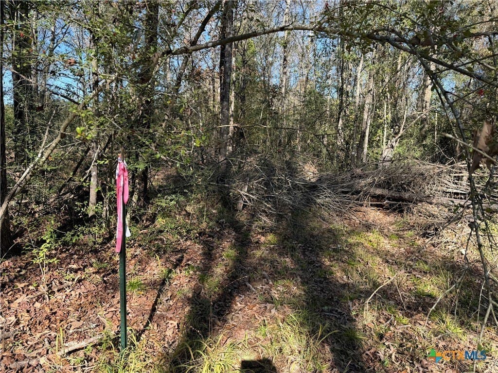 2.17 acres in Freestone County - photo 3