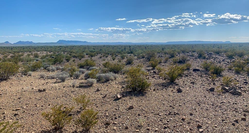 5 acres in Brewster County - photo 10