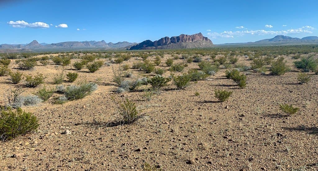 5 acres in Brewster County - photo 8