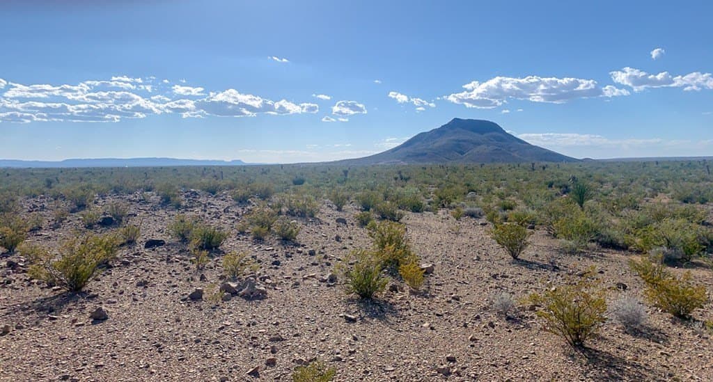 5 acres in Brewster County - photo 6
